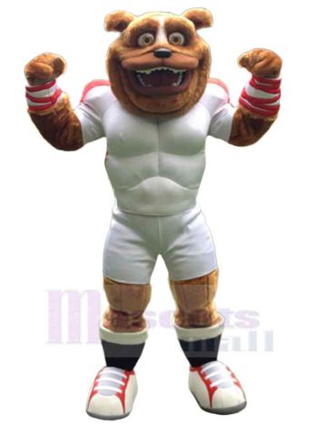 bär maskottchen kostüm