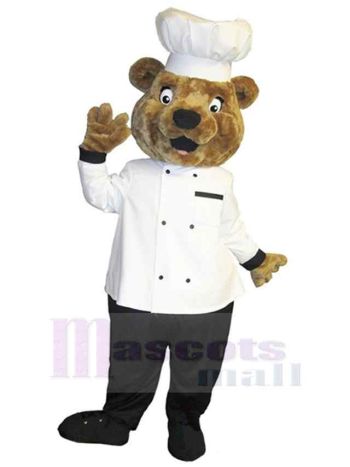 bär maskottchen kostüm