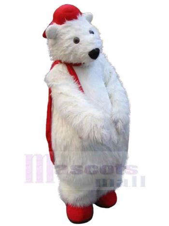 bär maskottchen kostüm