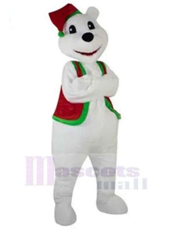 bär maskottchen kostüm