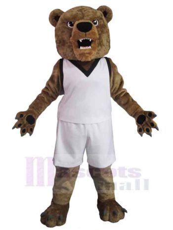 bär maskottchen kostüm