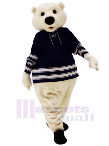 bär maskottchen kostüm