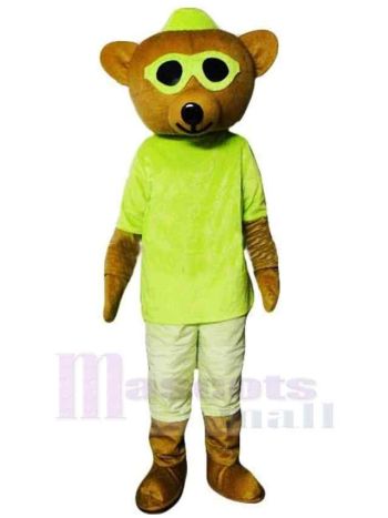 bär maskottchen kostüm