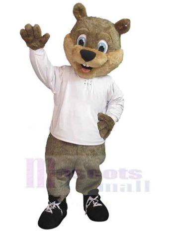 bär maskottchen kostüm