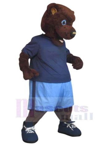 bär maskottchen kostüm
