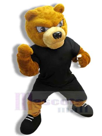 bär maskottchen kostüm