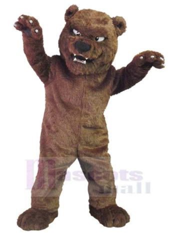 bär maskottchen kostüm