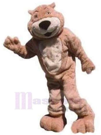 bär maskottchen kostüm