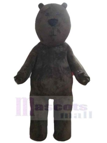 bär maskottchen kostüm