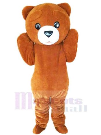 bär maskottchen kostüm