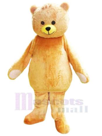 bär maskottchen kostüm