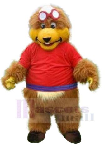 bär maskottchen kostüm