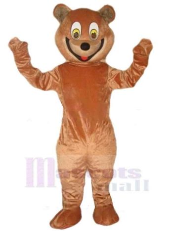 bär maskottchen kostüm