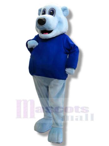 bär maskottchen kostüm