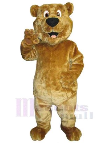 bär maskottchen kostüm