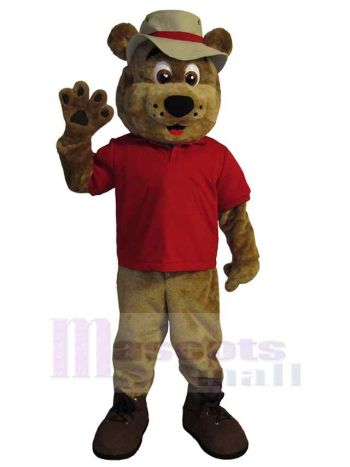 bär maskottchen kostüm