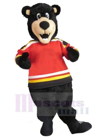 bär maskottchen kostüm