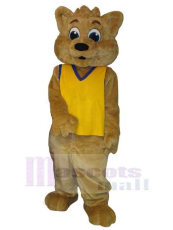 bär maskottchen kostüm