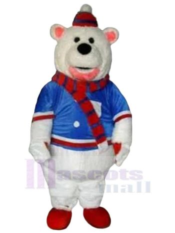 bär maskottchen kostüm