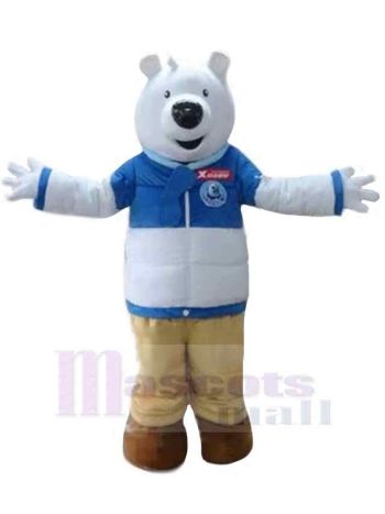 bär maskottchen kostüm