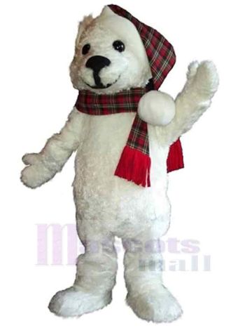 bär maskottchen kostüm