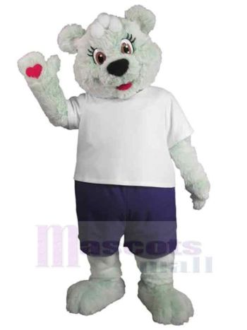 bär maskottchen kostüm
