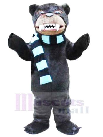 bär maskottchen kostüm