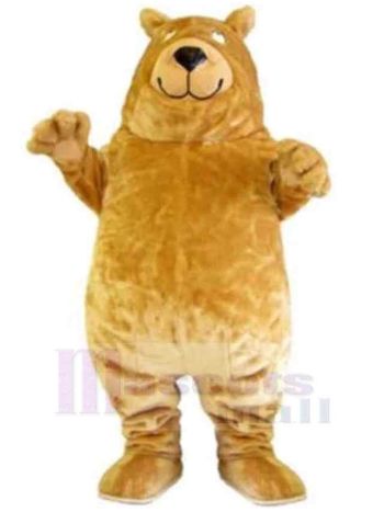 bär maskottchen kostüm
