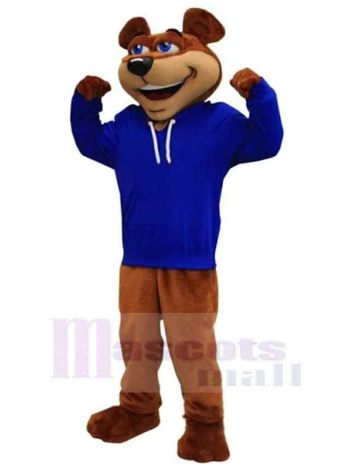 bär maskottchen kostüm