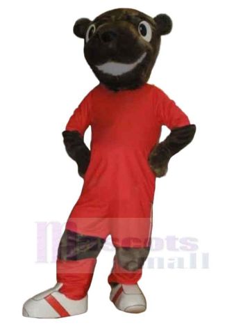 bär maskottchen kostüm