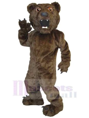 bär maskottchen kostüm