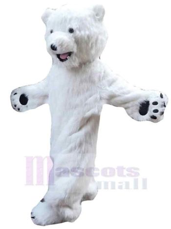 bär maskottchen kostüm