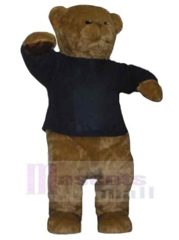bär maskottchen kostüm