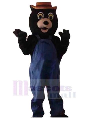 bär maskottchen kostüm