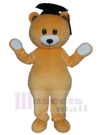 bär maskottchen kostüm