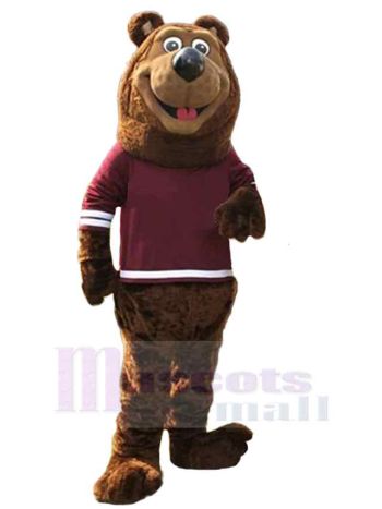 bär maskottchen kostüm