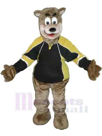 bär maskottchen kostüm