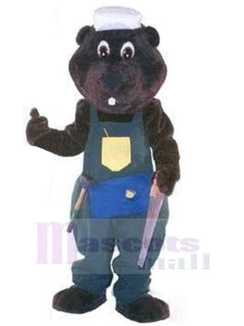 bär maskottchen kostüm