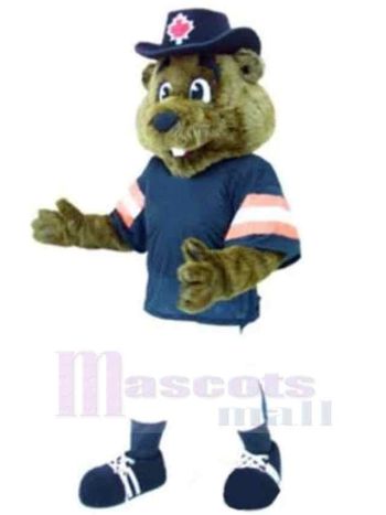 bär maskottchen kostüm