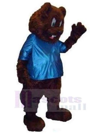 bär maskottchen kostüm