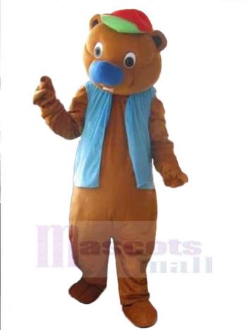 bär maskottchen kostüm