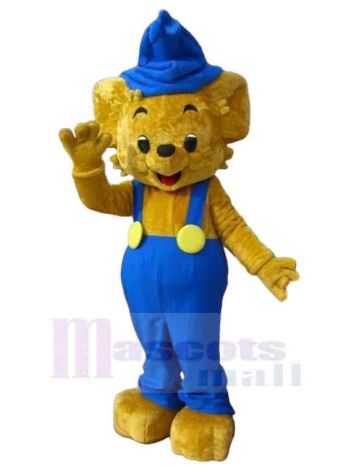 bär maskottchen kostüm
