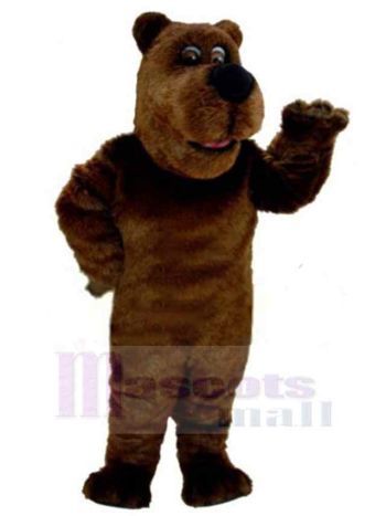 bär maskottchen kostüm
