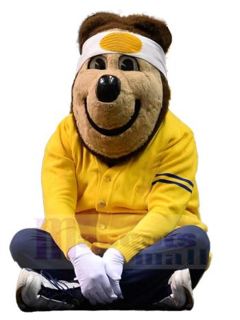 bär maskottchen kostüm