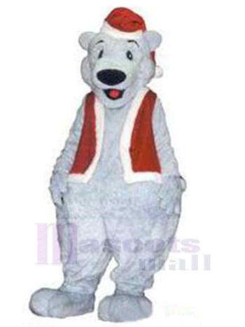 bär maskottchen kostüm