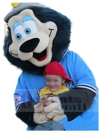 bär maskottchen kostüm