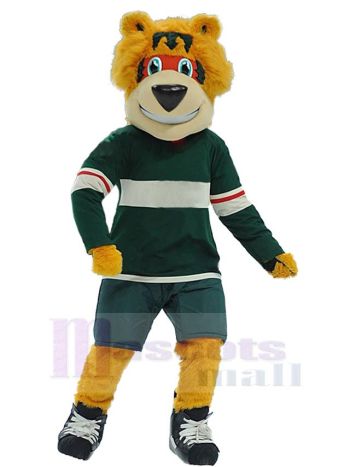 bär maskottchen kostüm