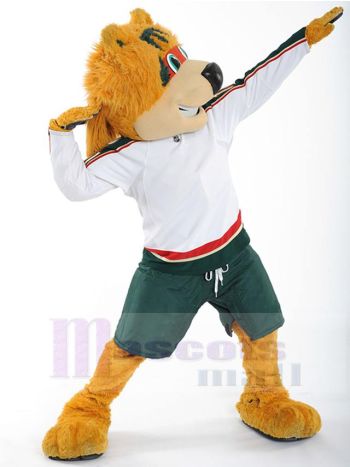 bär maskottchen kostüm