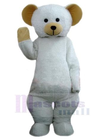 bär maskottchen kostüm