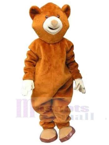 bär maskottchen kostüm